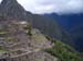 Machu-Picchu-13